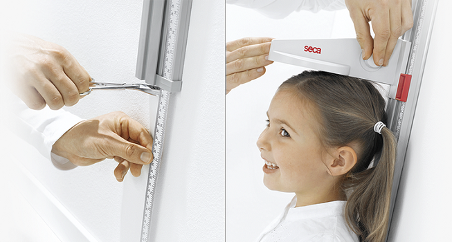 قدسنج دیواری seca 216